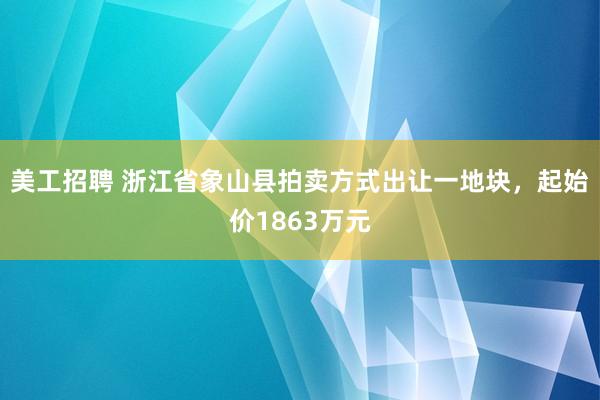 美工招聘 浙江省象山县拍卖方式出让一地块，起始价1863万元