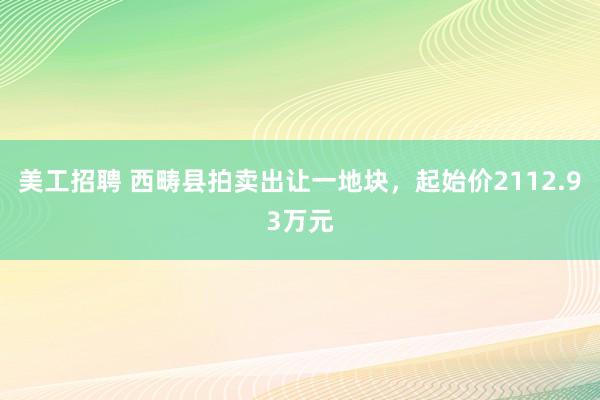 美工招聘 西畴县拍卖出让一地块，起始价2112.93万元